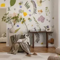 Coloray Vliesbehang - Wit Snellijm Behang - 250x250 cm - Lentebloemen Fotobehang Vlies - Woonkamer behang Bloemen En Planten - Muurschildering - Woonkamer behang