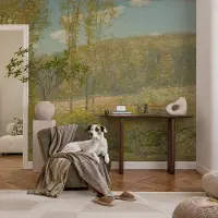 Coloray Vliesbehang - Groente Snellijm Behang - 250x250 cm - Boslandschap Muurschildering - Gang behang Landschappen - Fotobehang Vlies - Slaapkamer behang