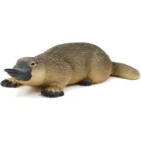 Small Foot Animal Planet: De snaveldier
