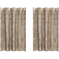 vidaXL Velvet Gordijnen 2 st champagne 175 x 140 cm Fluweel