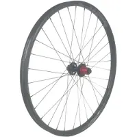 Gtr Sl30 29´´ Cl Ratchet Disc Tubeless Mtb Achterwiel