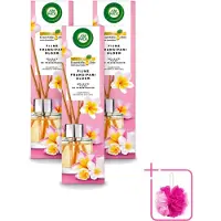 Air Wick 3 x - Geurstokjes - Delicate Frangipani Bloemen - Essentiële Oliën - 40 ml - Bulkverpakking - Geurstokjes - Douchemop - Frangipani
