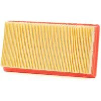 Champion Caf9000 Luchtfilter