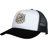 Santa Cruz Flaming Dice Dot Meshback Pet