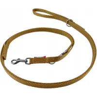 Champion Verstelbare Hondensnoer 225cm - Goud