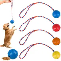 Markenlos – Pack van 4 Hondenballen met Koord