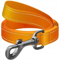 Waudog Nylon Hondenlijn Oranje M 20mm 200cm - Veilig & Duurzaam