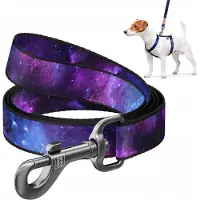 Waudog Nylon Hondenriem 'NASA21' - Maat M, 122cm