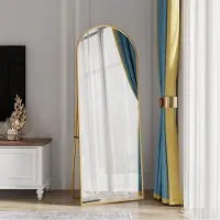 Rosahqnda Gebogen Spiegel Spiegel van volledige lengte 162 x 53 cm staande spiegel met standaard goudkleurig geschikt om te staan op te hangen of tegen de muur te plaatsen voor slaapkamer, hal of voordeur