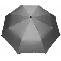 Parasol Automatische Damesparaplu Carbon Steel Metallic Zilver