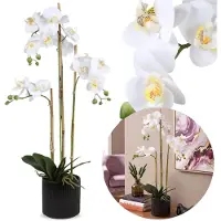 Sarcia.eu GROOT Witte, kunst orchidee, ORCHIDEE in pot, ALS ECHT, 3 stengels - 77 cm