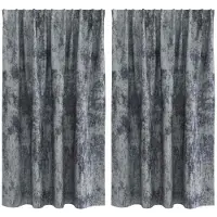 vidaXL Velvet Gordijnen 2 st Zilvergrijs 140 x 140 cm Fluweel