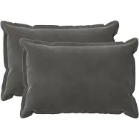 vidaXL Kussensloop 2 st HOUTEN Donkergrijs 40 x 60 cm Fluweel