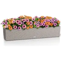 Lechuza BALCONERA Cottage 100 - Plantenbak - met uitneembare binnenbak - met bewateringssysteem - ALL-IN-ONE set met -PON - zandbruin