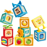 Hape Delightful Discovery Blocks Veelkleurig Kinderen