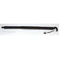 TRISCAN 8710 29330 Gasveer achterklep