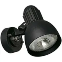 Albert Zwarte wandspot buiten Orientable 13,5cm