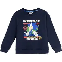 Sonic Sweatshirt