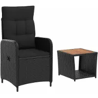 vidaXL Tuin loungeset 2 st Zwart PE rotan en poedergecoat staal