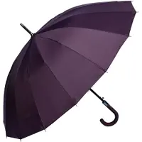 Juleeze Paraplu Volwassenen 60 cm Paars Kunststof