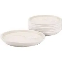 Pickwick - Professional Theeschotel - 6 stuks - Omdoos 2x