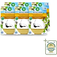 Air Wick 6 x Decosphere - Luchtverfrisser - Vanille & Kamperfoelie - 75ml - Wasstrips - Luchtverfrisser - Geur - Geurverspreiding - Vanille - Kamperfoelie