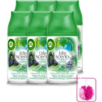 Air Wick 6 x - Life Scents - Luchtverfrisser Navulling - Boswateren - Automatische Spray - 250 ml - Bulkverpakking - Boswater - Douchemop - Natuurlijke geur