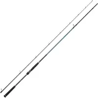 Daiwa Caldia Seabass Classic Iii Spinning Rod Zilver 2.74 m / 14-42 g