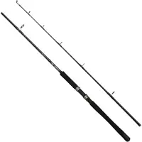 Dam Iconic2 Sw Boat Spinning Rod Zilver 2.10 m / 100-300 g