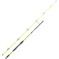 Expert Predator Barracuda Spinning Rod Zilver 2.10 m / 10-40 g