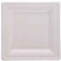 Royal Doulton Sugarcane Square Plates 26x26cm - 12pcs - Biodegradable
