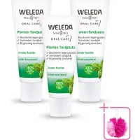 Weleda 3 x - Planten tandpasta - 75 ml - Bulkverpakking - Natuurlijke tandpasta - Douchemop - Tandvlees kalmeren