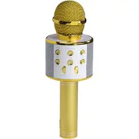 Denver Karaoke microfoon |