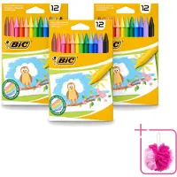 BIC 3 x - Waskrijt - Diverse Kleuren - 12 Krijtjes - Bulkverpakking - Waskrijt - Douchemop - Kleurkrijt