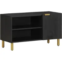 vidaXL TV-kast, zwart, 80x33x46 cm, van houtvezel