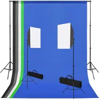 vidaXL Fotostudioset met softboxlampen en achtergronden