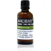 Ancient Wisdom Eucalyptus Etherische Olie - 50 ml - Roll On - Navulflesje - Puur Natuur