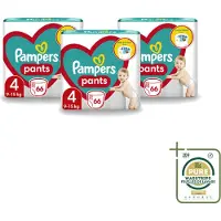 Pampers 3 x – Luierbroekjes – Pants Maat 4 – 66 Luiers - Wasstrips - Luier Broekje - Luier Voor Baby - Luier Voor Peuters - Actieve Baby - Droge Luier