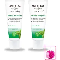 Weleda 2 x - Planten tandpasta - 75 ml - Bulkverpakking - Natuurlijke tandpasta - Douchemop - Tandvlees kalmeren