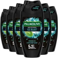 Palmolive 6x Men Intense Douchegel 5in1 Ice Blast 250 ml
