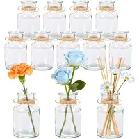 Famanu – 12 Stuks 125ml Kleine Glazen Vazen voor Tafeldecoratie