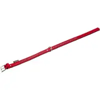 Flamingo Monte Carlo Hondenhalsband