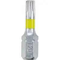Meister Torx Bit T15 2 stuks voor schroefmachine
