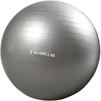 SVELTUS Gymball Grey 65 cm