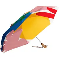 Original Duckhead Duckhead | Duurzame paraplu | Matisse-motief | Meerkleurig