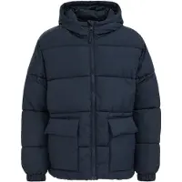 We fashion Heren pufferjas