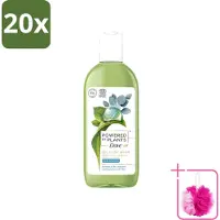Dove 20 x Powered by Plants - Oil Body Wash - Eucalyptus - 250 ml - Bulkverpakking - Natuurlijke verzorging - Douchemop - Eucalyptus