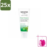 Weleda 25 x - Planten tandpasta - 75 ml - Bulkverpakking - Natuurlijke tandpasta - Douchemop - Tandvlees kalmeren