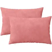 vidaXL Kussen met kussen HEERLEN 2 st Roze fluweel