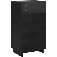 vidaXL schoenenkast 48 x 38 x 87,5 cm bewerkt hout Zwart